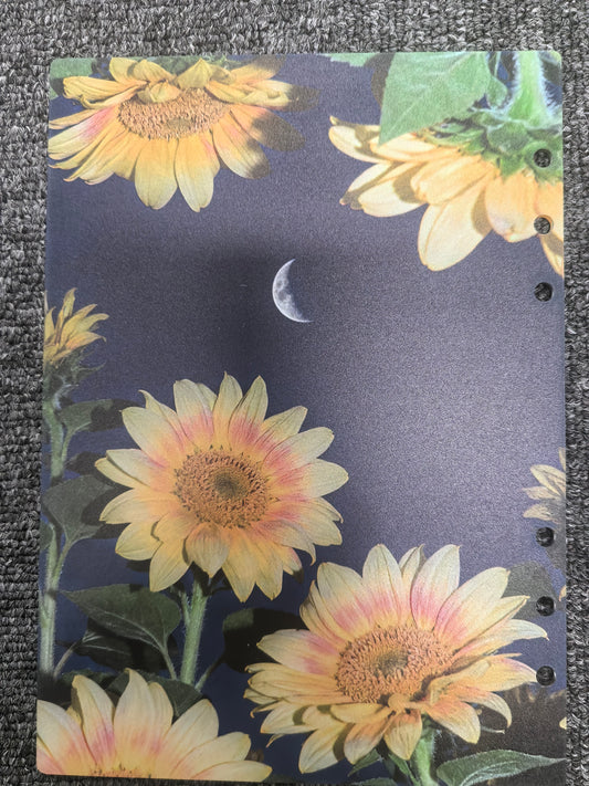 精品分隔页